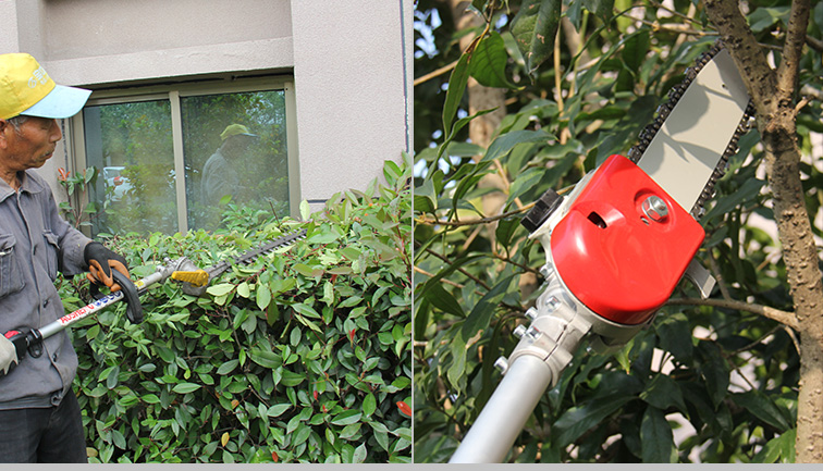 Apa saja keterampilan memotong alat dalam pemeliharaan taman?