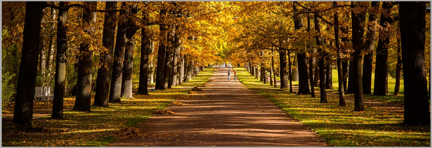 NINGBO AOSHENG MESIN CO., LTD.